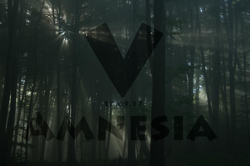 Amnesia V